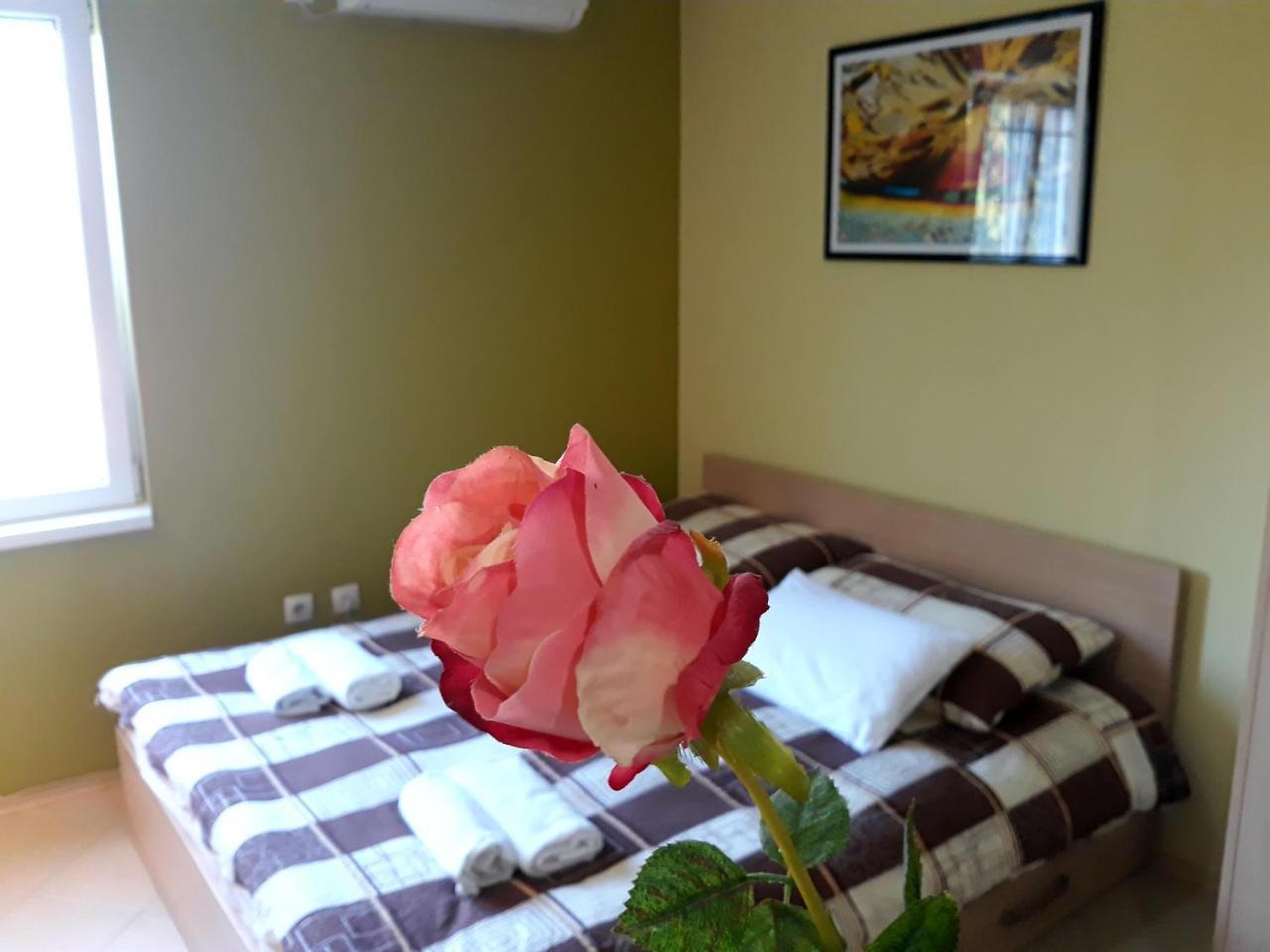 Apartments Popovic 베오그라드 외부 사진